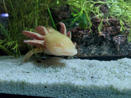 OnlyFishFans hd erotische bilder