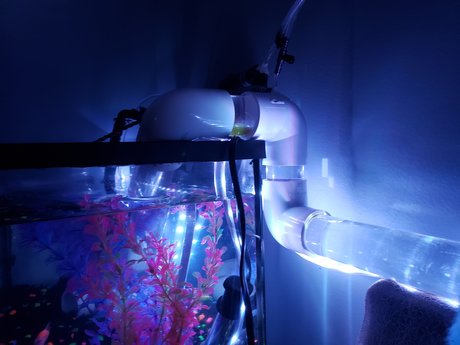 OnlyFishFans exklusive galerien