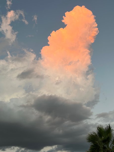 Datsun pornostar hd galerien