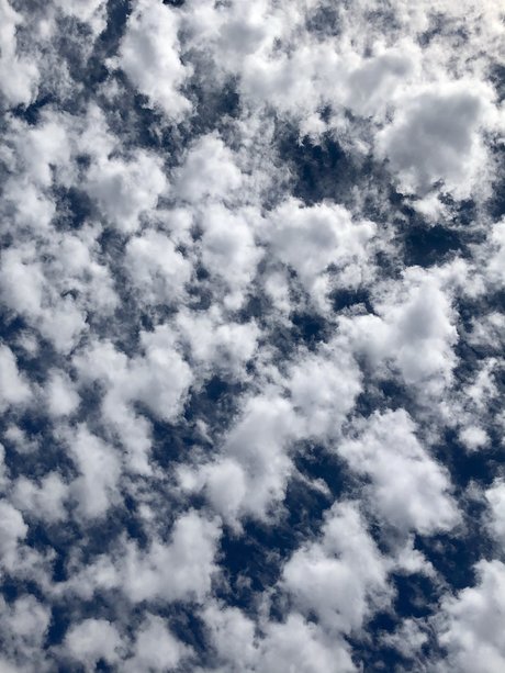 dddd 89 nackt sex fotos