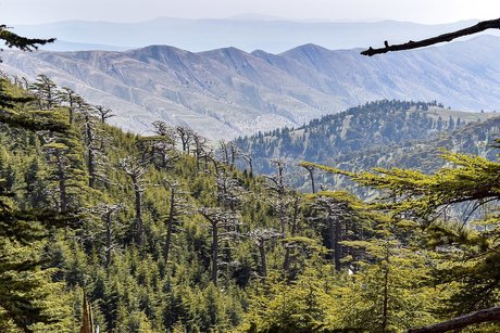 Enkidu pornostar sex foto