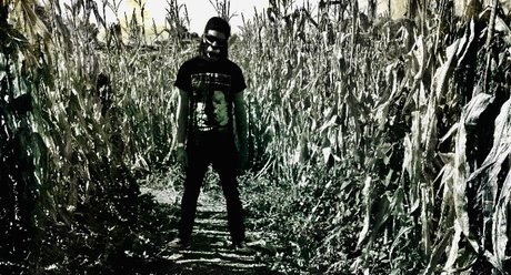 Serpentine xxx freie fotos