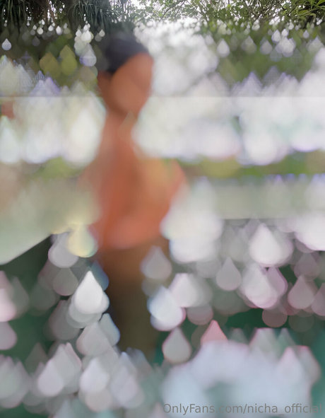 nicha official hübsche foto