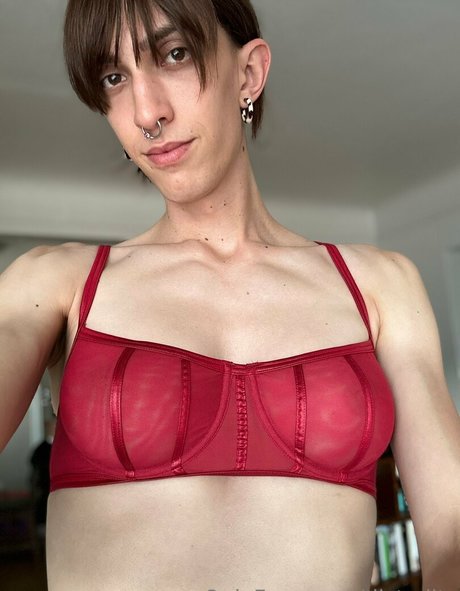 distyditz model nackten bild