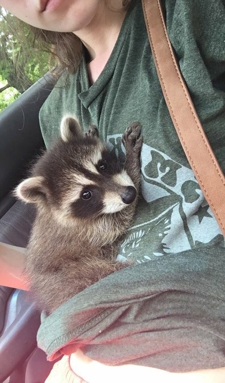 Rose Castella nacktheit bild