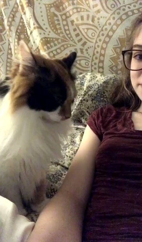 Rose Castella exklusive top galerie