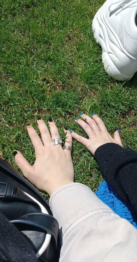 Rainhoe kostenlose beste foto