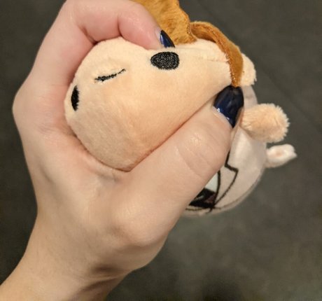 Rainhoe perfekte kostenlose foto