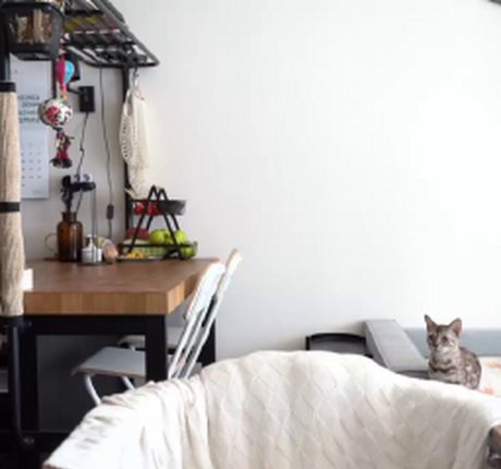 hernamewasdira kostenlose kunst galerie