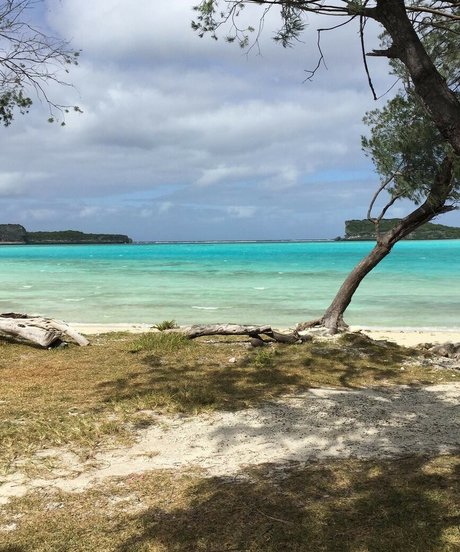 Adele tsy kostenlose hübsche archiv