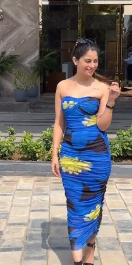 Fiza Choudhary top nette archiv