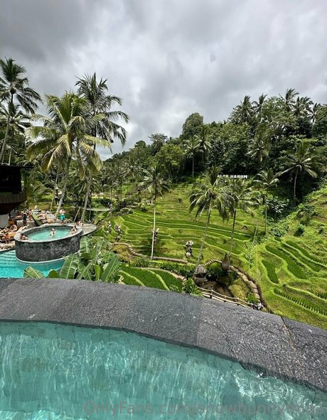 snowbunnymiaa beste freie bilder