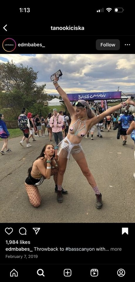 tanookiciska model erwachsene bild