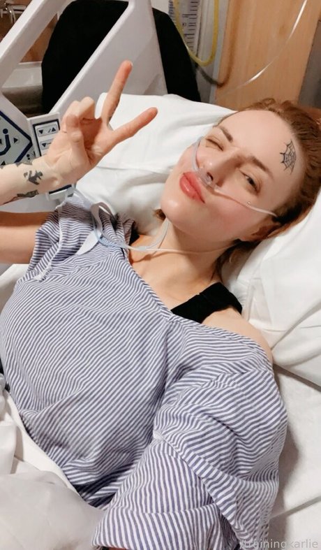 roziekatz exklusive schöne galerie