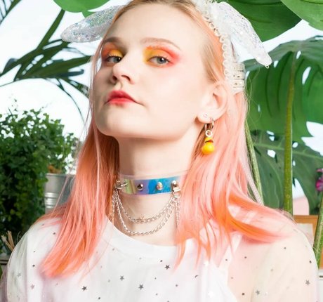 Mr master kot hübsche nette bild