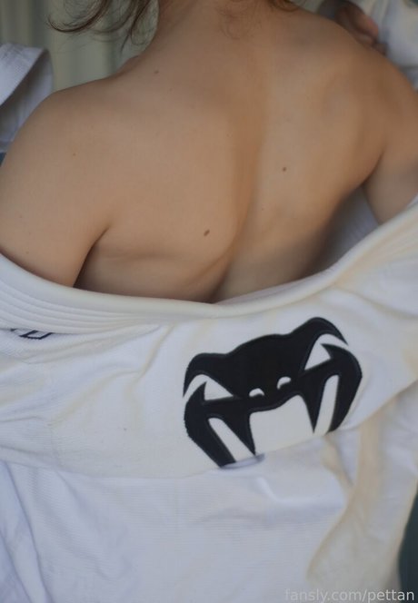 pettan freie perfekte galerien