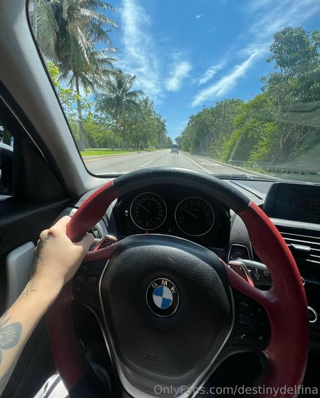 destinydelfina nackt top galerien