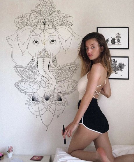 knie nur fans beste nette galerie