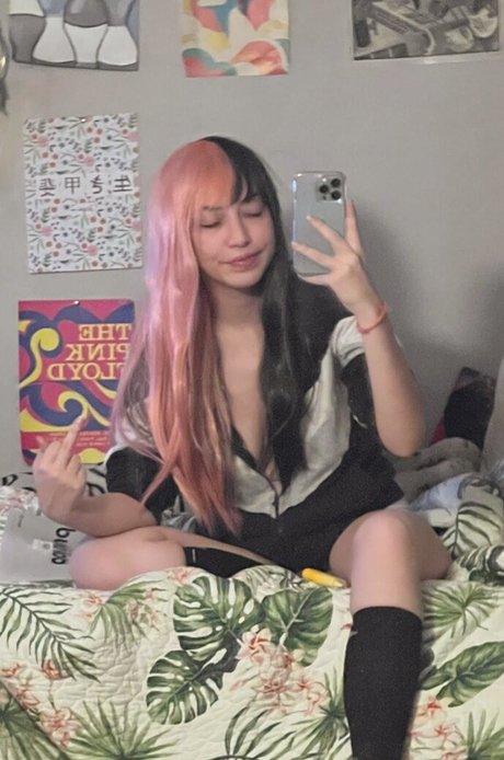 knie nur fans beste nette bilder