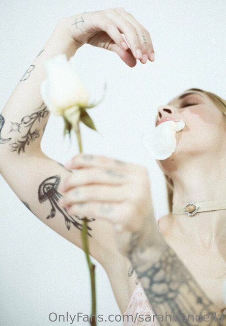 Sarahvandella hd akt bilder