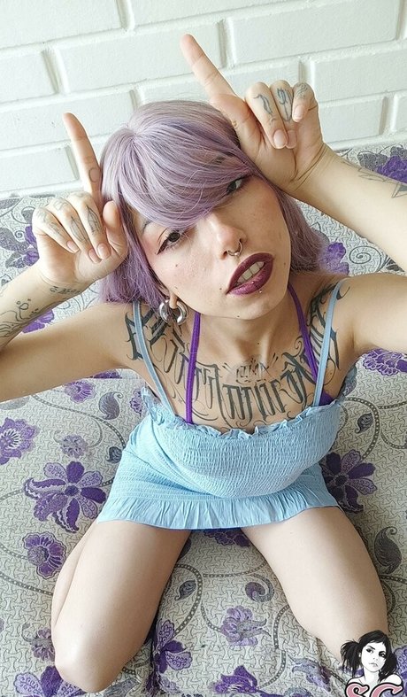 Donnacat porno nette galerien