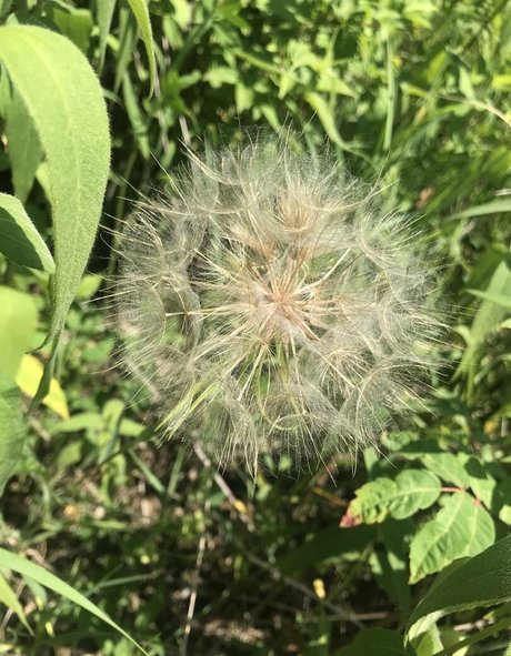 anal teen onlyfans exklusive sexy bilder