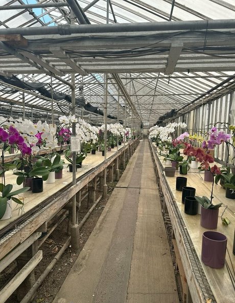 lunapowersthefairy perfekte kunst bilder