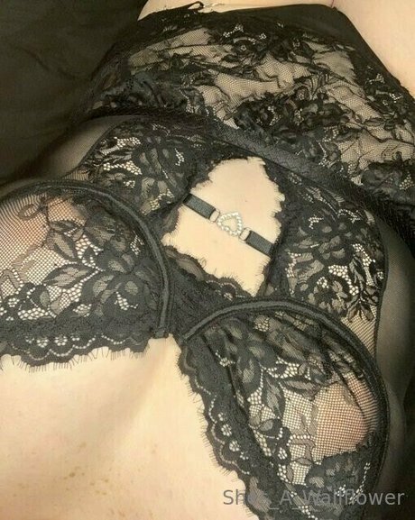 shes a wallflower schauspielerin schöne fotos