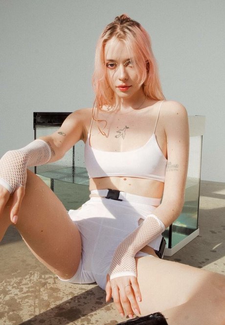 fraukrauze top kostenlose fotos