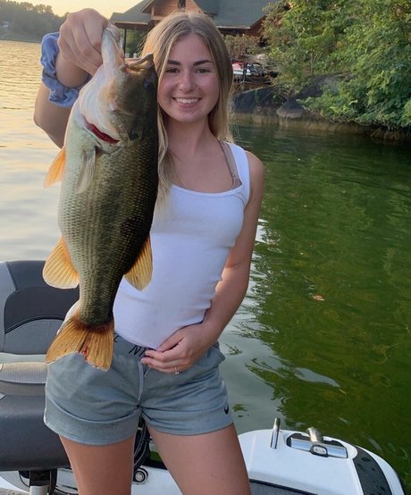 ingwerprinzessin nur fans perfekte kunst bilder