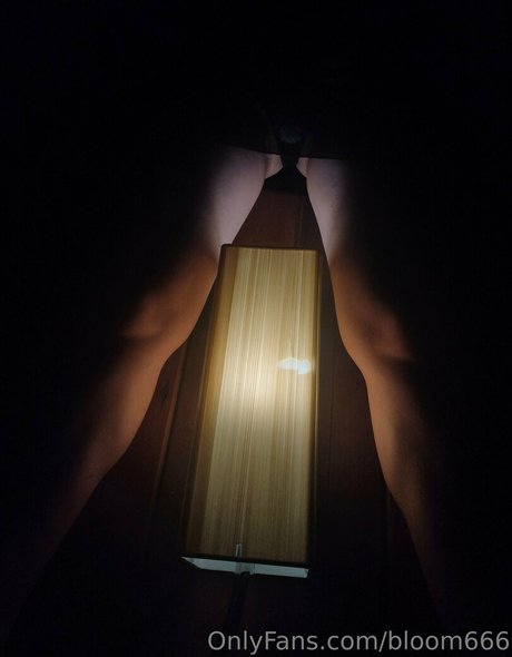 bloom666 pornostar bild