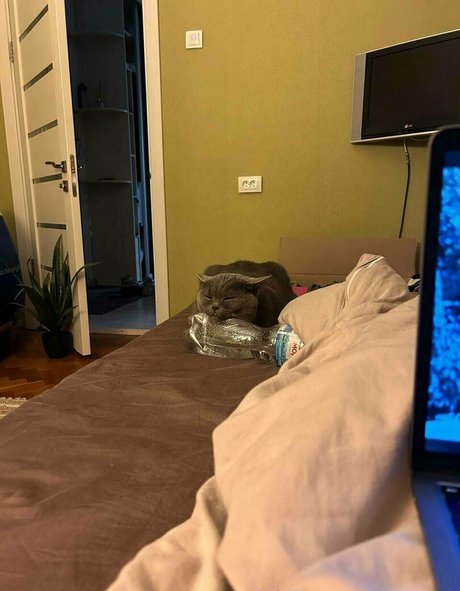 anyuta18 top pornografische bilder