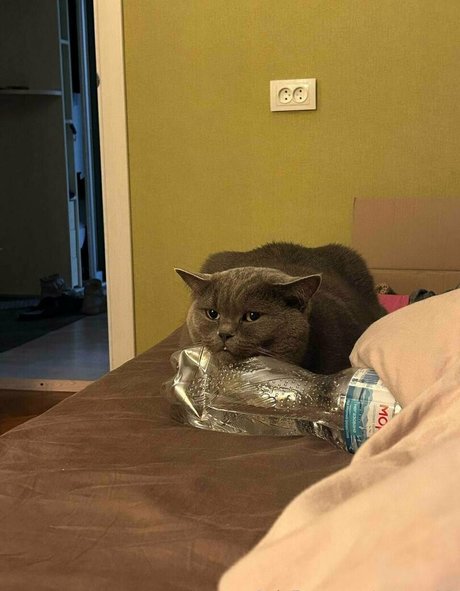 anyuta18 porno hübsche bild