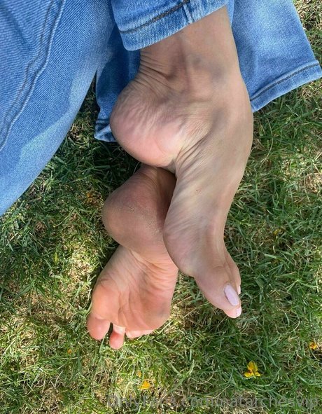 trans kostenlose onlyfans erotische freie bild