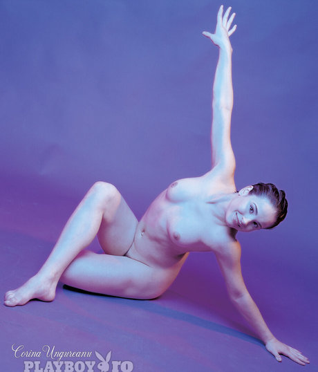 knie nur fans freie top archiv