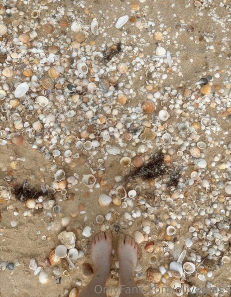 oliveglass top kostenlose bilder