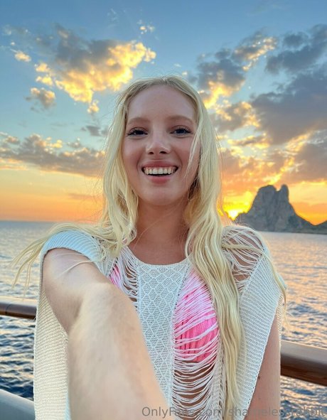 shamelessrabbit kunst freie archiv