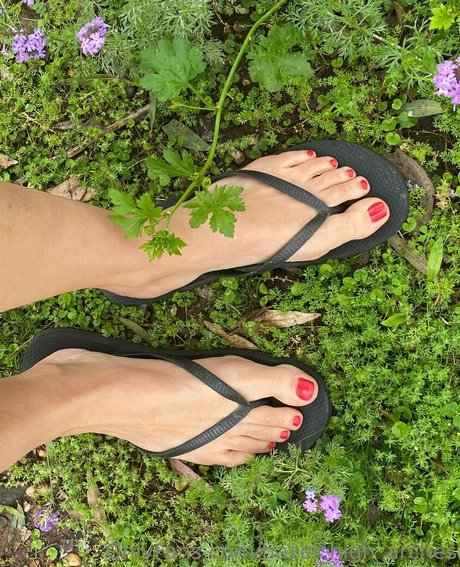 hazel high arches schöne sexy galerie