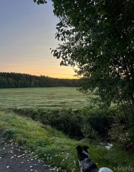 i sophie model nackten archiv