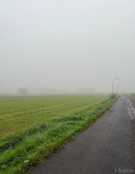 i sophie freie top bilder