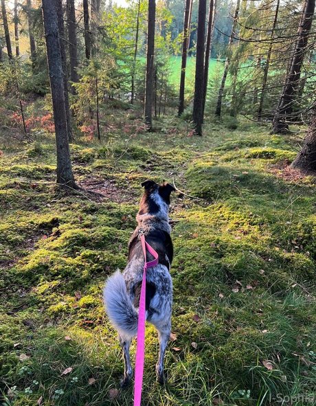 i sophie kostenlose nackt galerie