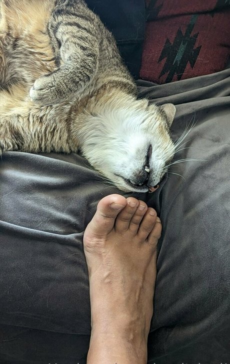 bbw-transe nur fans schöne nackte galerien