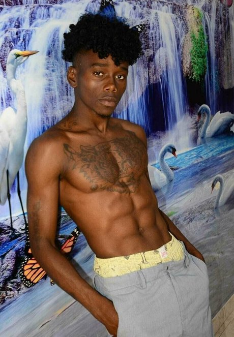 afroflavor beste kunst bild