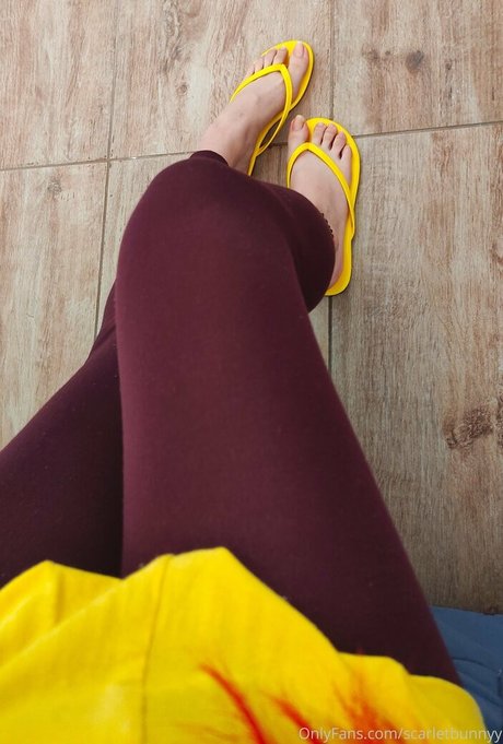 shemale-onlyfans top erotische galerie