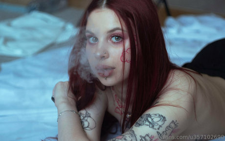 ebenholz kostenlos nur fans top perfekte bilder