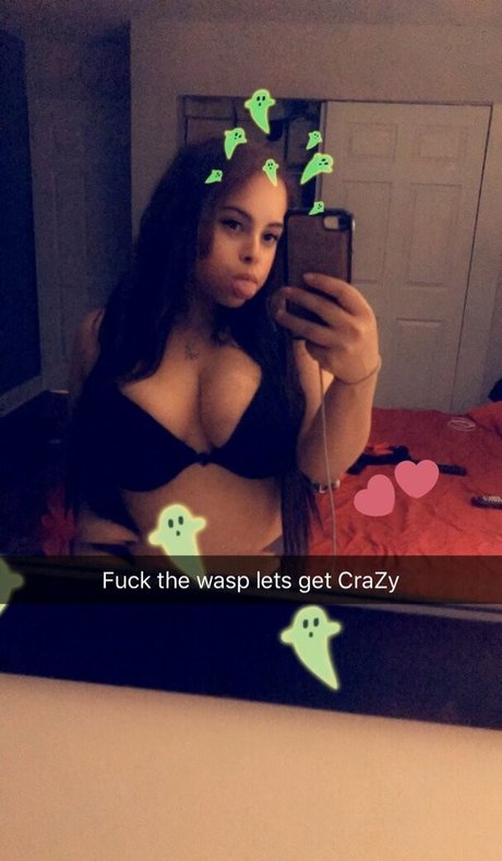 silllymel top perfekte bild