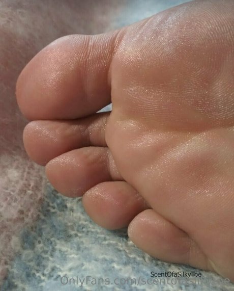 scentofasilkytoe erotische galerien