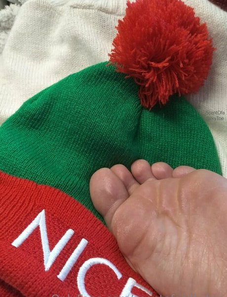 scentofasilkytoe pornostar erotische archiv