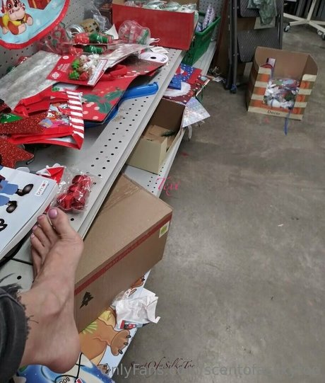 scentofasilkytoe kunst schöne galerien