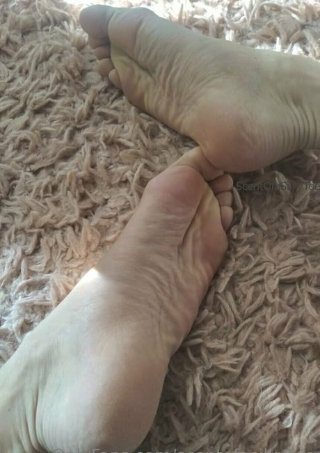 scentofasilkytoe schöne galerie